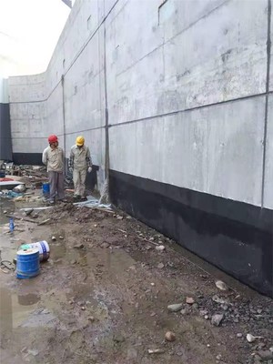 寧國防水補漏 金牌商家，20年質保讓建筑告別滲漏煩惱